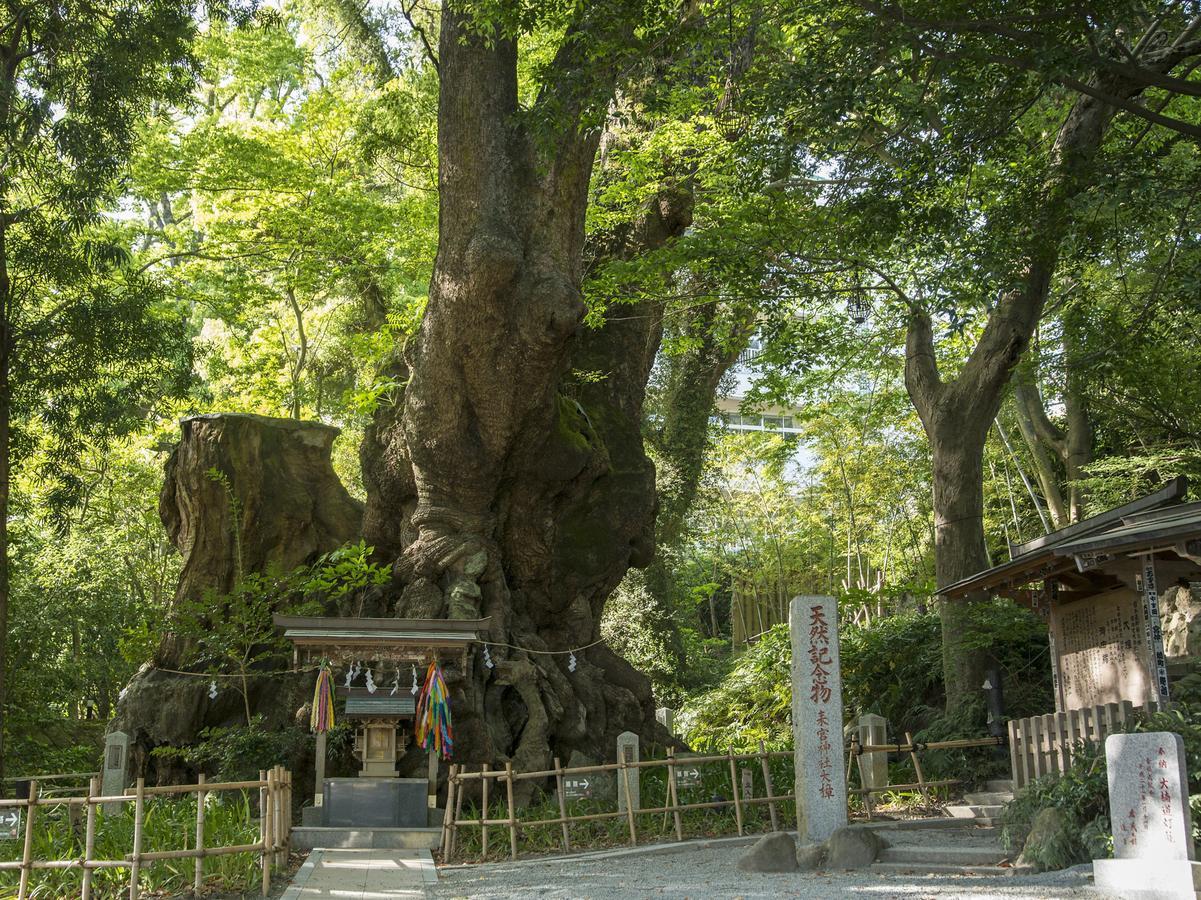 Отель Tkp Lectore Atami Momoyama Экстерьер фото